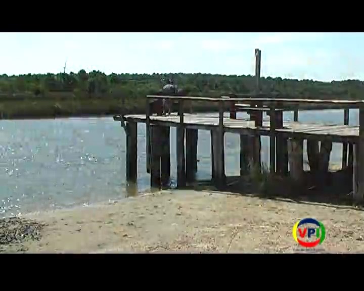 Programa 81 – 01/04/2016